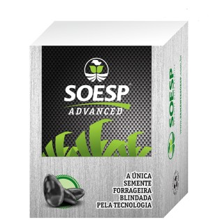 Bloco de Anotação Sementes 7x5x9cm Personalizado