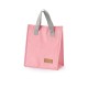 Bolsa Térmica 5 Litros Personalizada 06024