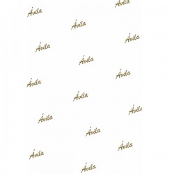 Papel de Seda Personalizado para Presentes